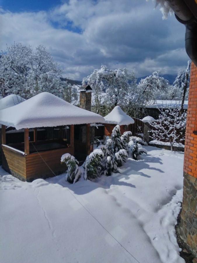 Котедж Гірський Γιαρέμτσε Εξωτερικό φωτογραφία